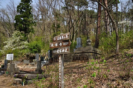 1005051316_DSC_5604