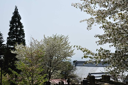 1005051327_DSC_5631