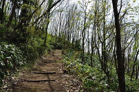 1005051349_DSC_5655