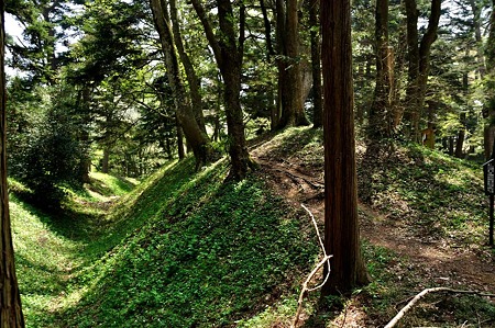 1005061047_DSC_6400