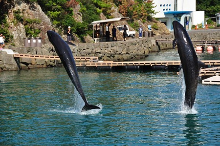 1009191422_DSC_1999