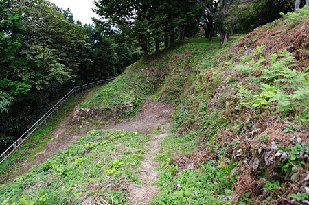 1010191652_DSC_2923