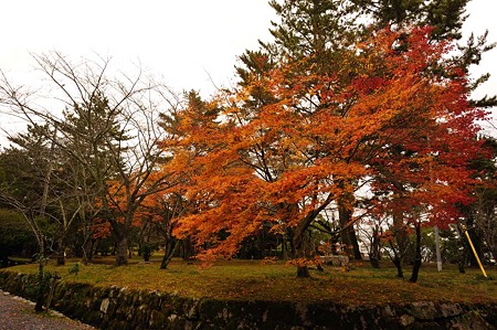 1011231016_DSC_4260