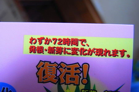 マジで!?