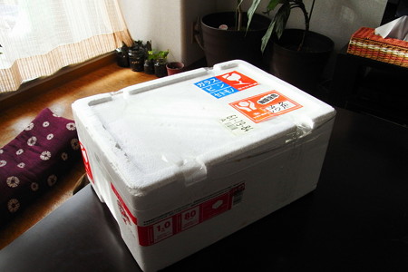 RIMG0001