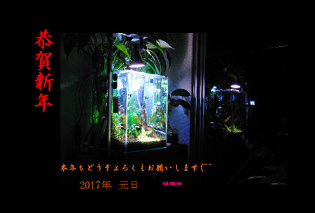 2017 アクア