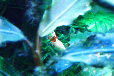 RIMG0015