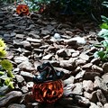 ハロウィン1