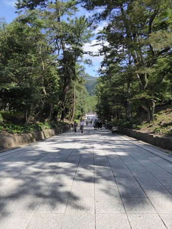 下りは珍しらしい
