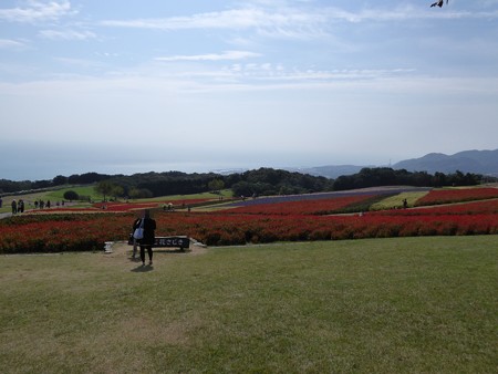 ふれあいの花園