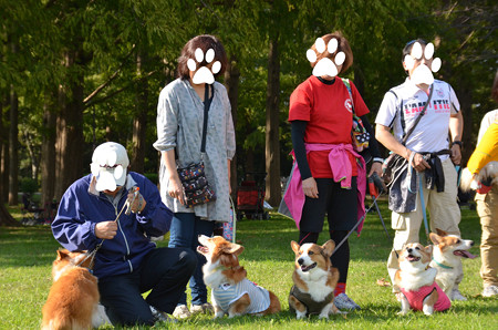 DSC_6205_edited-1