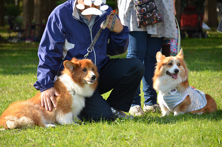 DSC_6210_edited-1