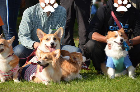 DSC_6228_edited-1