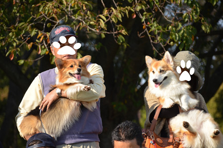 DSC_6244_edited-1