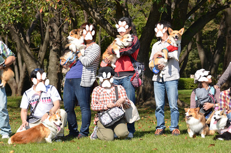 DSC_5729_edited-1