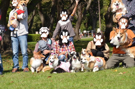 DSC_5736_edited-1