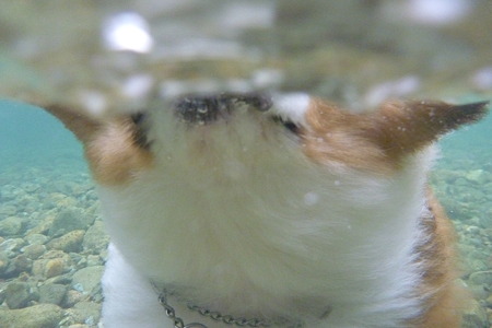 P1010880
