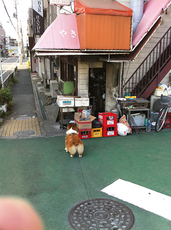 写真 69