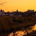 Photos: 坪井夕景。
