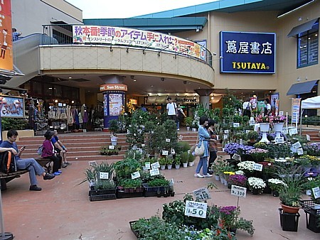 次世代商店街