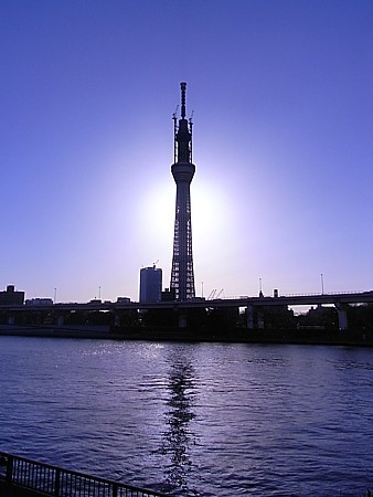逆さスカイツリー