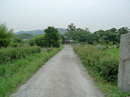 戒壇院(1)
