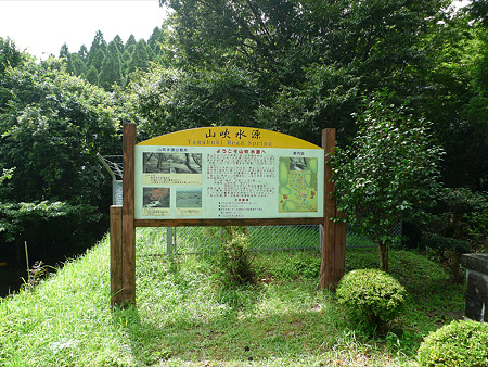 山吹水源(1)