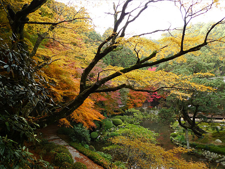 雷山千如寺大悲王院(14)