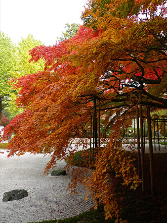 雷山千如寺大悲王院(21)