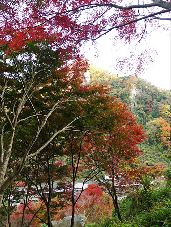 一目八景~見晴らし台への登山道(2)