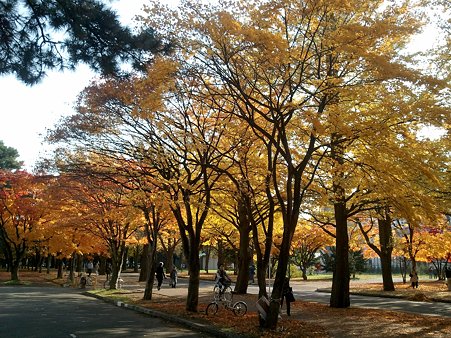 2010-11-06-4