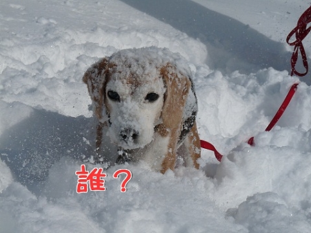誰?