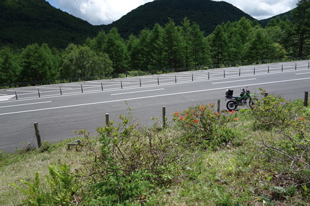 DSC01845