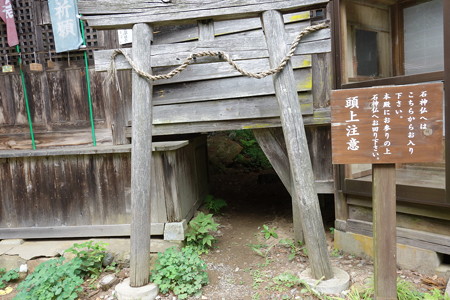 DSC02091