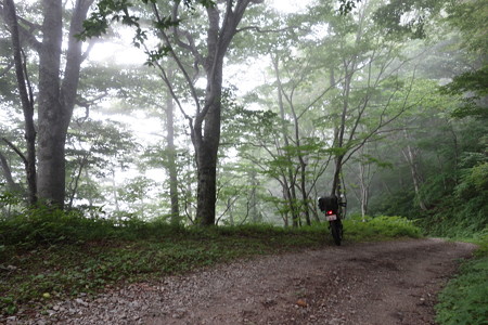 DSC02224