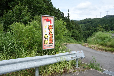 DSC02315