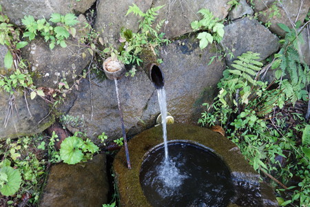 DSC02800