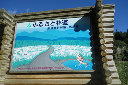 DSC02866