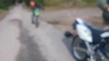 DSC_1447