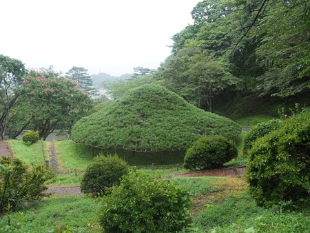 kasumigajoukouen32