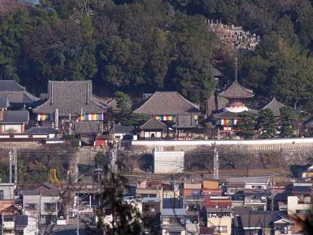 iwayayama_onomitisannzan24