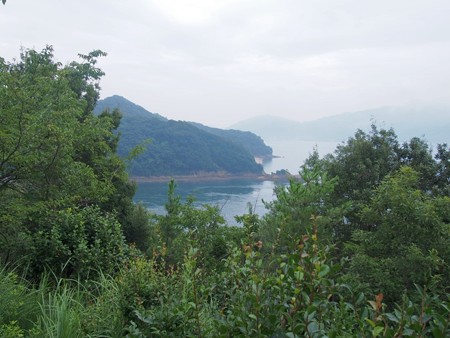 hanagurisetotenboudai11
