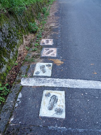 niragatouge17