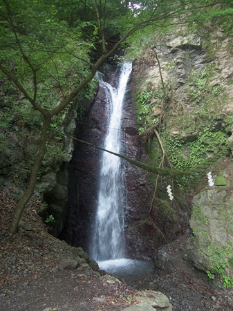 ryuuzukonngoutaki06