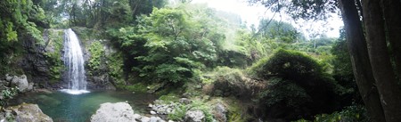 hutinokami_kamikatutyou_p01