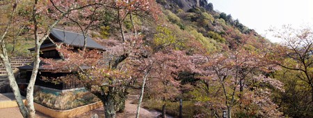 iwadonosan_p03