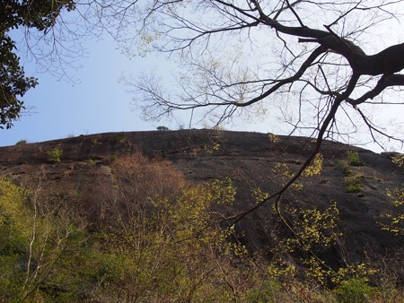 iwadonosan45