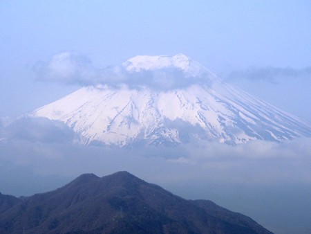 iwadonosan63