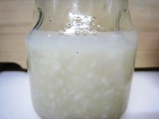 甘酒で出来るかな?甘酒(米麹)90g+グリーンレーズン酵母小さじ2