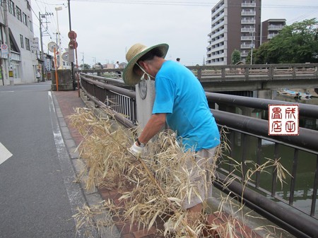 竹の撤収02